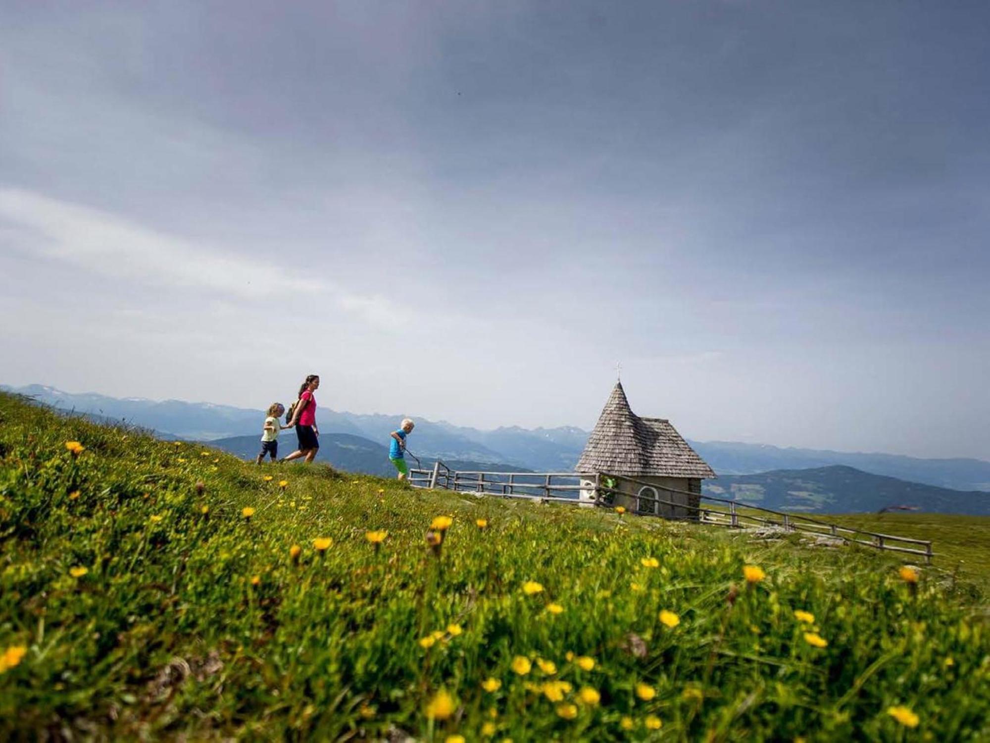 Goldstern Villa Sankt Lorenzen ob Murau Bagian luar foto